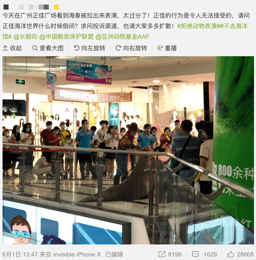 展覽預(yù)告 | “對(duì)不起，我愛你”，我們想對(duì)商場(chǎng)里的動(dòng)物說......