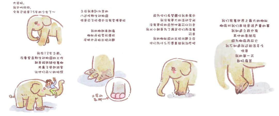 展覽預(yù)告 | “對(duì)不起，我愛你”，我們想對(duì)商場(chǎng)里的動(dòng)物說......