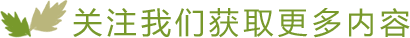 奪命追魂的電話 奪命追魂的電話
