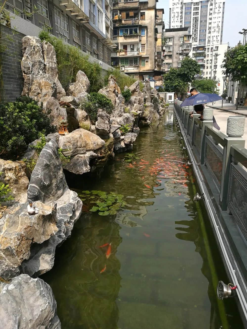高樓大廈之中，竟有一條千年古村：楊箕村