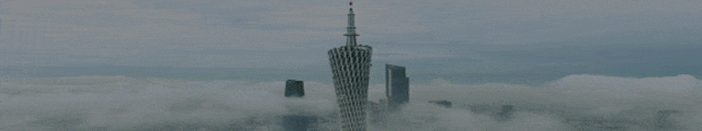 白云區(qū):當(dāng)“野孩子”遭遇“中年危機(jī)” 白云區(qū):當(dāng)“野孩子”遭遇“中年危機(jī)”