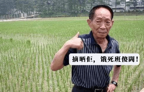 粵語鍵盤俠：“沒有十級證書，你不配講粵語！”