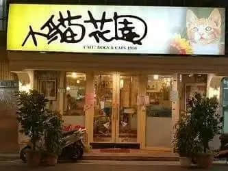 在廣州享受著997福報(bào)的阿貓阿狗：治愈還是致郁？