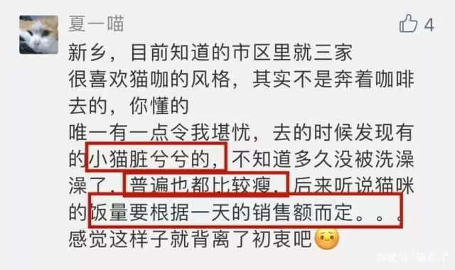 在廣州享受著997福報(bào)的阿貓阿狗：治愈還是致郁？