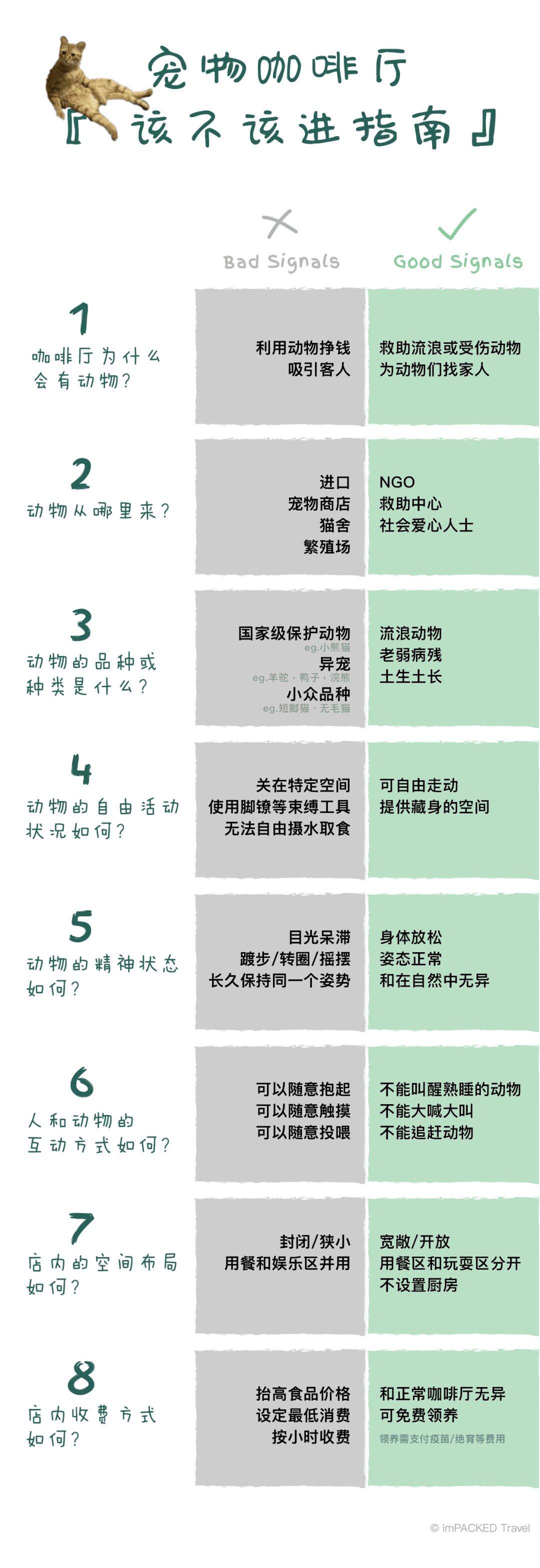 在廣州享受著997福報(bào)的阿貓阿狗：治愈還是致郁？