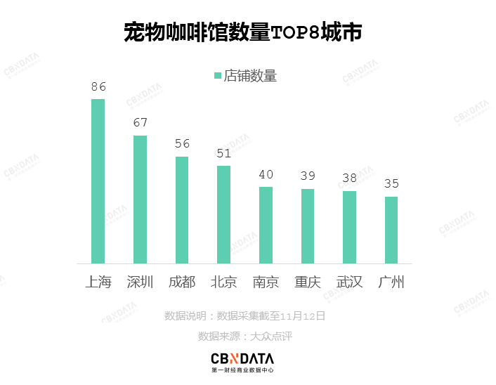 在廣州享受著997福報(bào)的阿貓阿狗：治愈還是致郁？