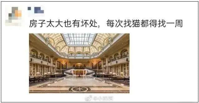 當(dāng)粵語(yǔ)遇上凡爾賽，個(gè)個(gè)廣東人都系扮嘢師祖！