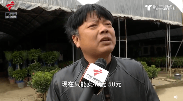 疫情仍未結(jié)束的2021，廣州人還能不能逛花街？