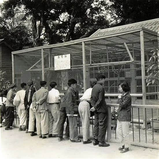 廣州動(dòng)物園，這次真的要非搬不可了嗎？
