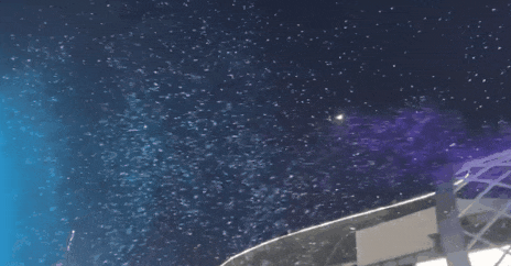 2021開年最大騙局：廣州下雪！