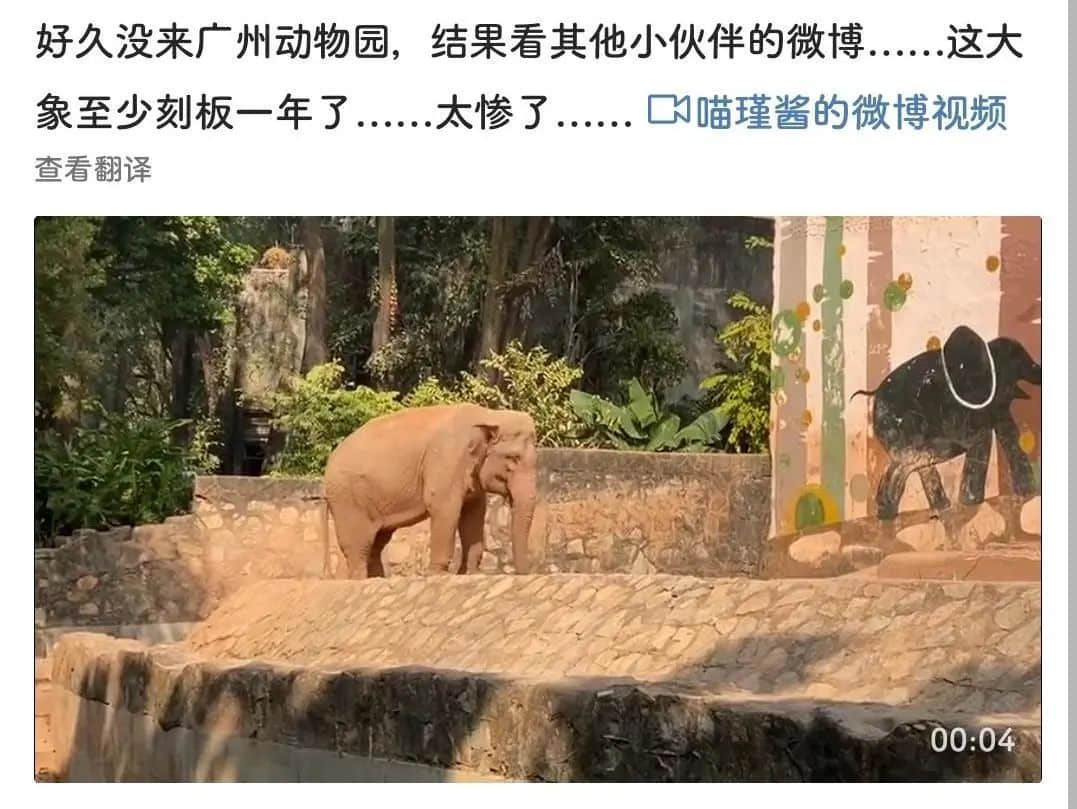廣州動(dòng)物園，這次真的要非搬不可了嗎？