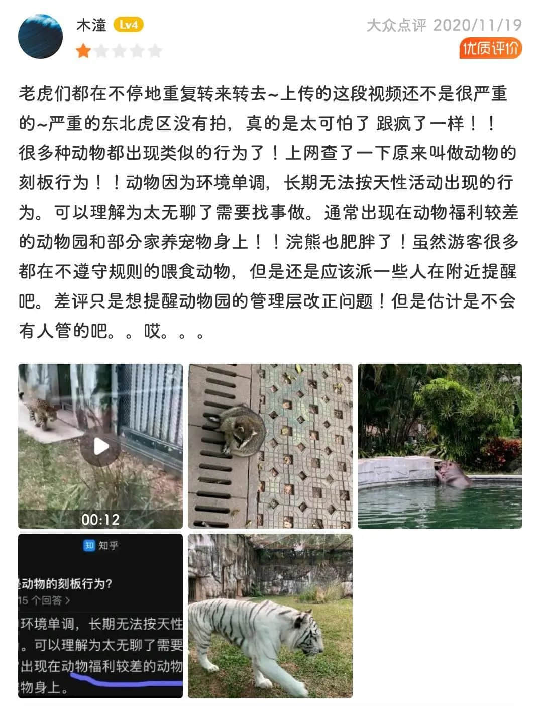 廣州動(dòng)物園，這次真的要非搬不可了嗎？