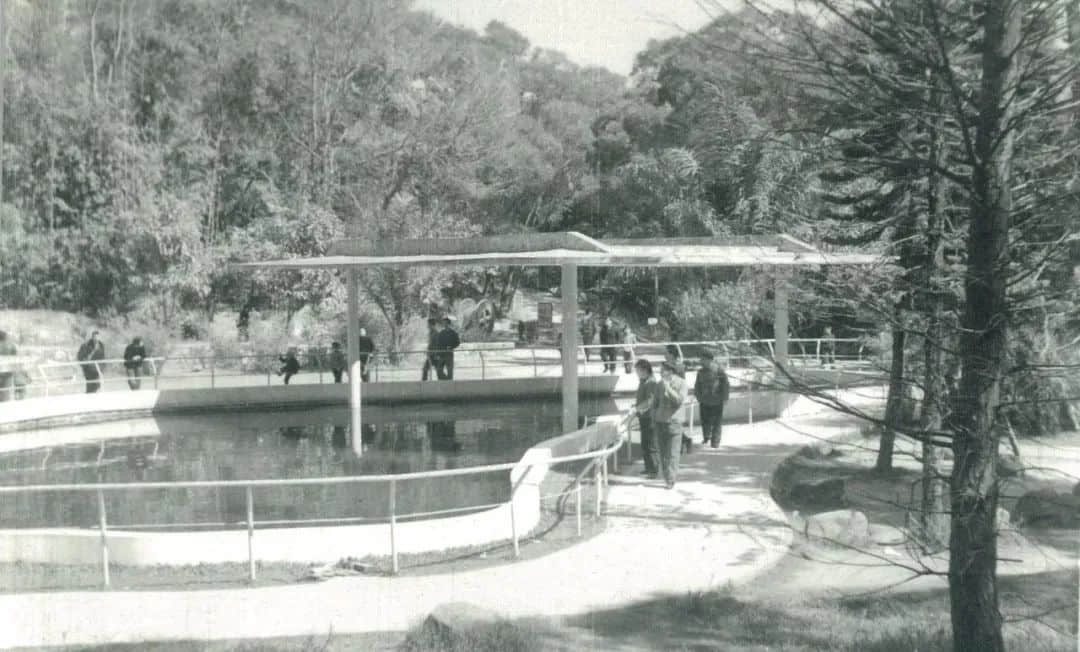 廣州動(dòng)物園，這次真的要非搬不可了嗎？