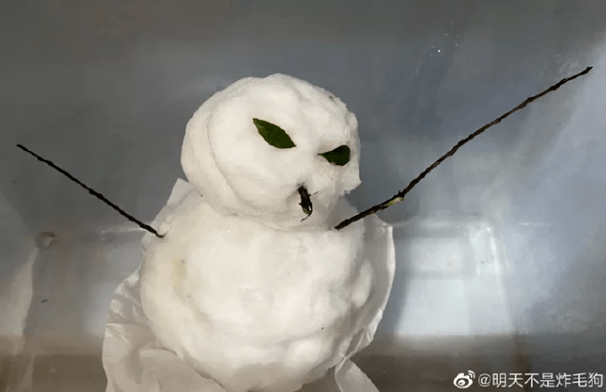 2021開年最大騙局：廣州下雪！