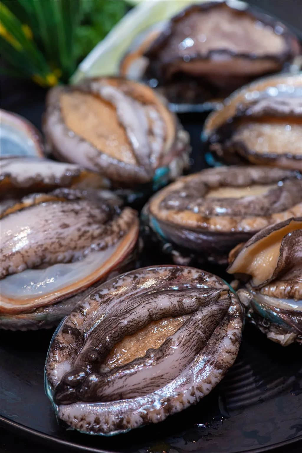 粵劇離不開地道粵語，正如美味不能沒有新鮮食材