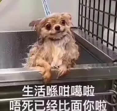“為年會奮不顧身的我，穿上了老婆的蓬蓬裙......”