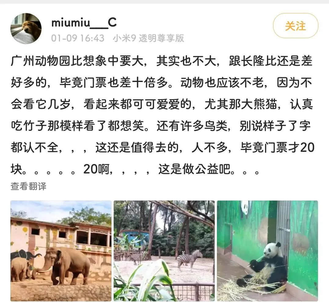 廣州動(dòng)物園，這次真的要非搬不可了嗎？