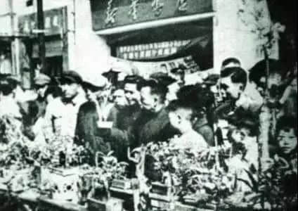 疫情仍未結(jié)束的2021，廣州人還能不能逛花街？