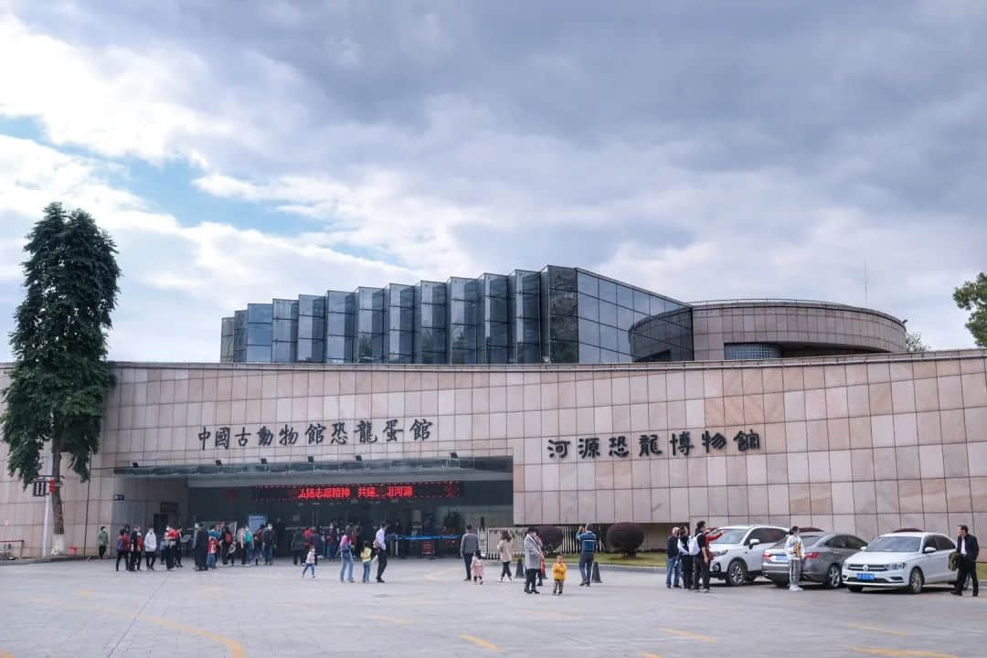 總說年味越來越淡，那么年味究竟是種什么味？