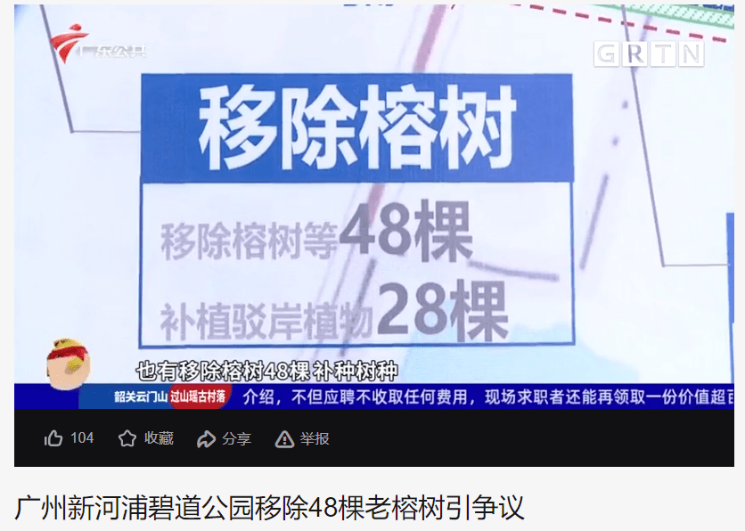 為做網(wǎng)紅連砍48棵樹，那個寧靜的東山是否已回不去？