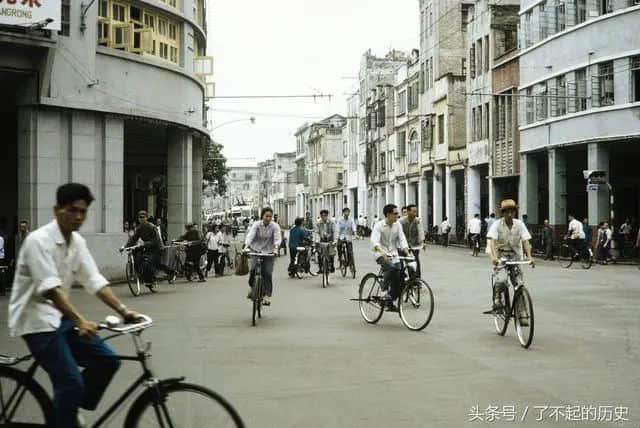 為做網(wǎng)紅連砍48棵樹，那個寧靜的東山是否已回不去？