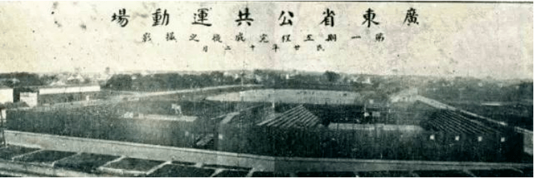 為做網(wǎng)紅連砍48棵樹，那個寧靜的東山是否已回不去？