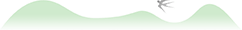 惠福西路的健美先生與世界大力士 惠福西路的健美先生與世界大力士