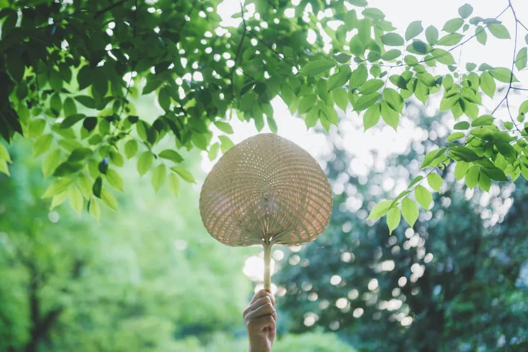 竟然！廣東人過立夏還要稱體重？