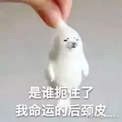 我，廣州戶口，第一次畀人嫌棄......