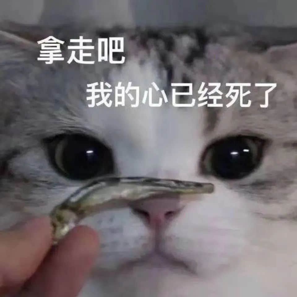 我，廣州戶口，第一次畀人嫌棄......