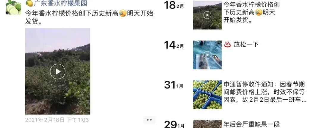 廣東人：我不在茶樓，就在檸檬茶店