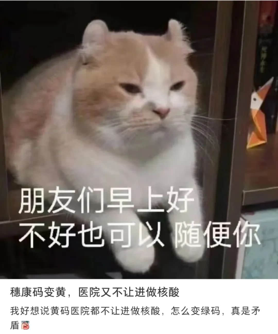 芳村：我唔想再講落去，總之我就系要保住廣州！