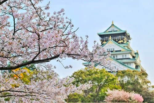 一個(gè)從未去過日本的美國人，卻把日本文化看得如此通透