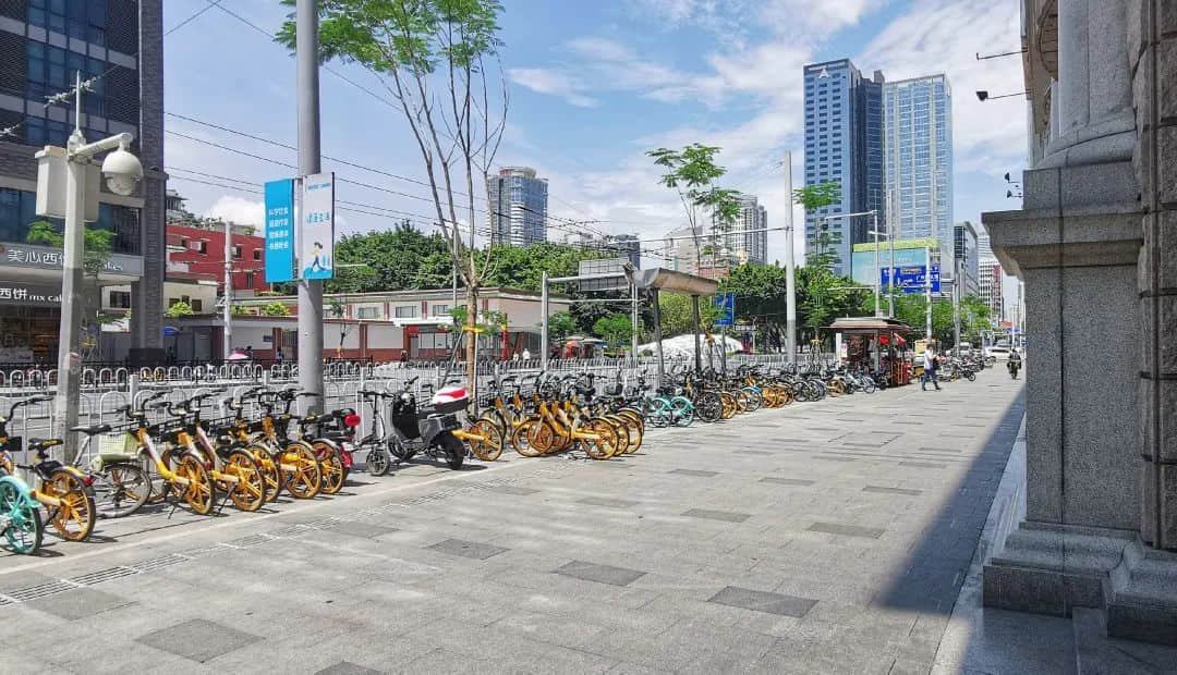 疫情總會消退，但被殺死的榕樹卻再也回不來