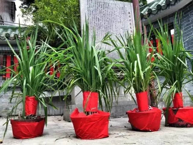 廣州疫情下，再也看不到包租公在臭涌玩漂移了