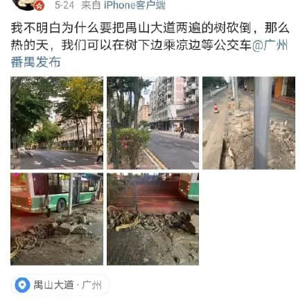 疫情總會消退，但被殺死的榕樹卻再也回不來