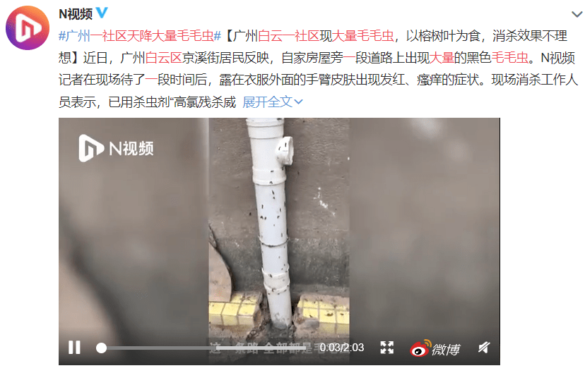 疫情總會消退，但被殺死的榕樹卻再也回不來