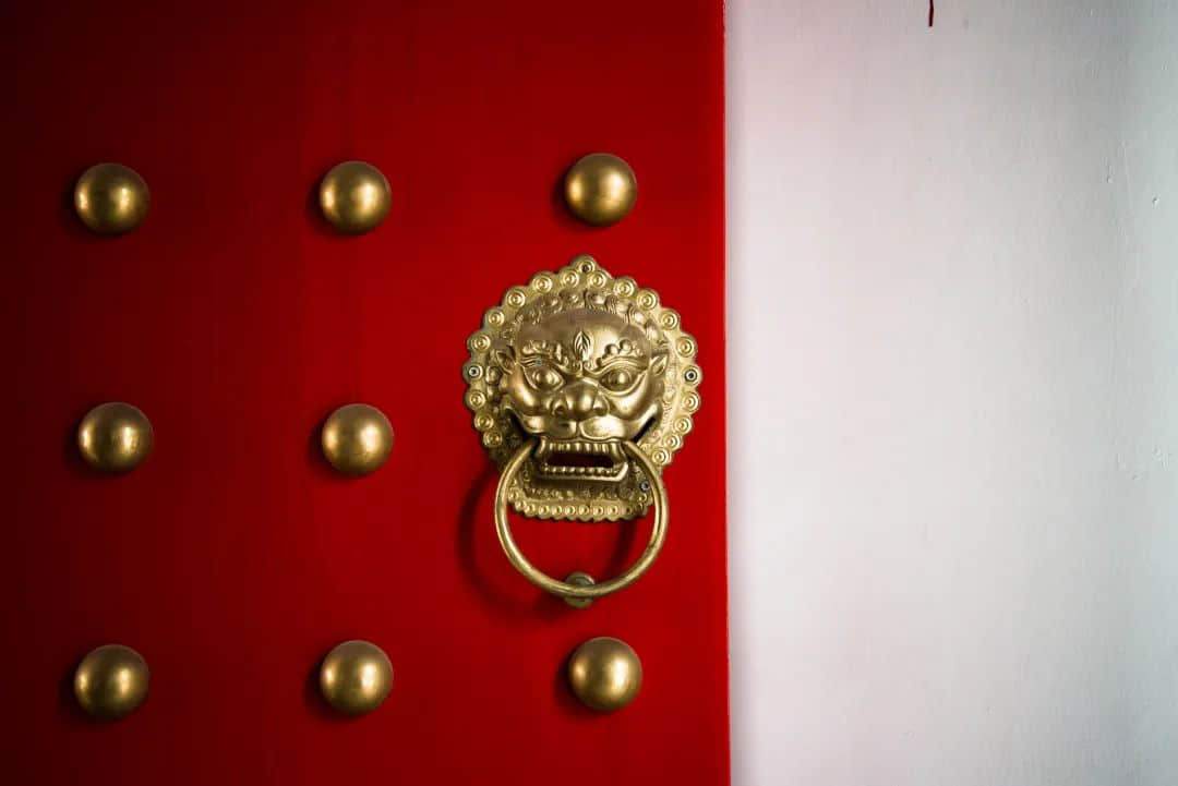 粵康碼上線醒獅標識！醒獅憑什么代表全廣東？