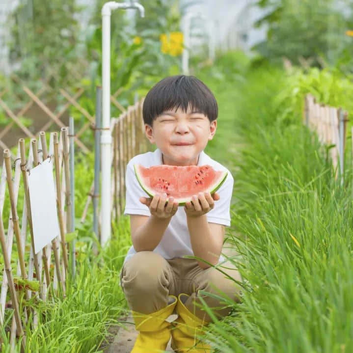 臺風(fēng)高發(fā)、高溫酷熱的大暑，該喝什么消暑湯水？