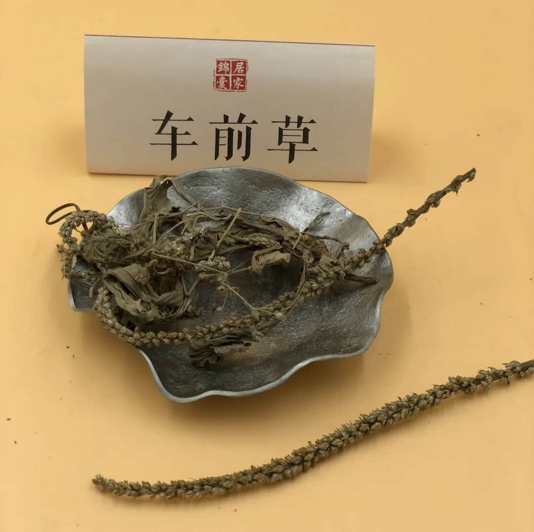 今日小暑，一年最熱的時段來了！喝什么湯最解暑？