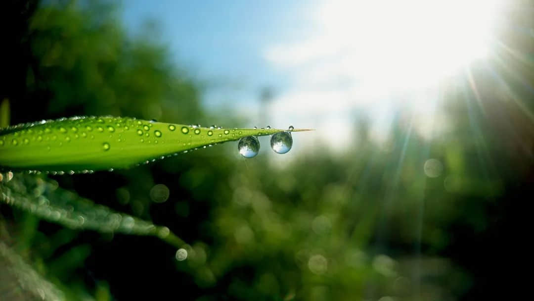 處暑到！又熱又干的天氣該喝什么湯？