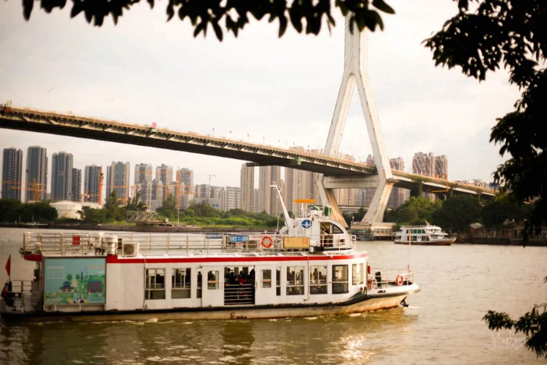 暫別鶴洞橋，你好白蜆殼！