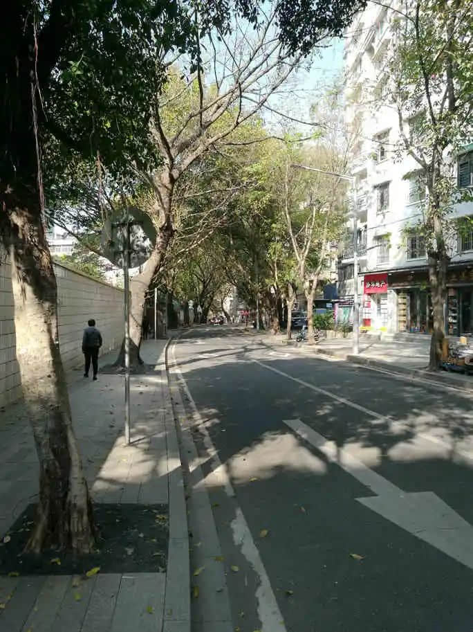 行走梅花村，要上知天文，下知地理