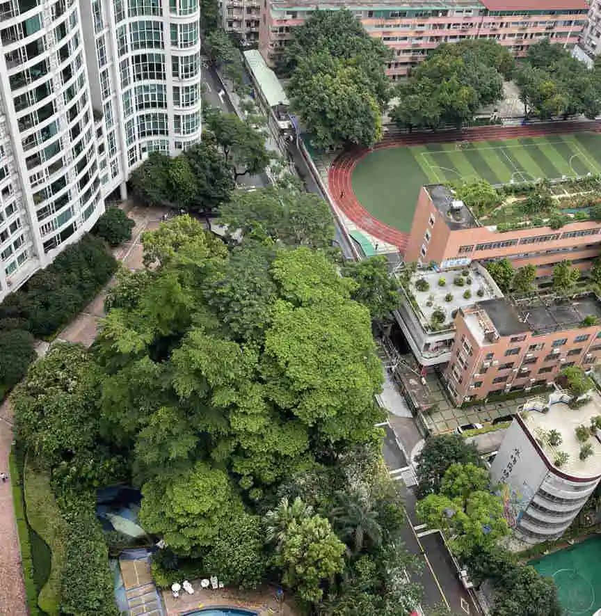 行走梅花村，要上知天文，下知地理