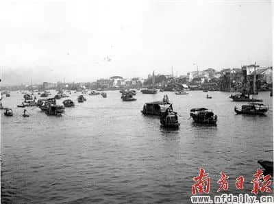暫別鶴洞橋，你好白蜆殼！