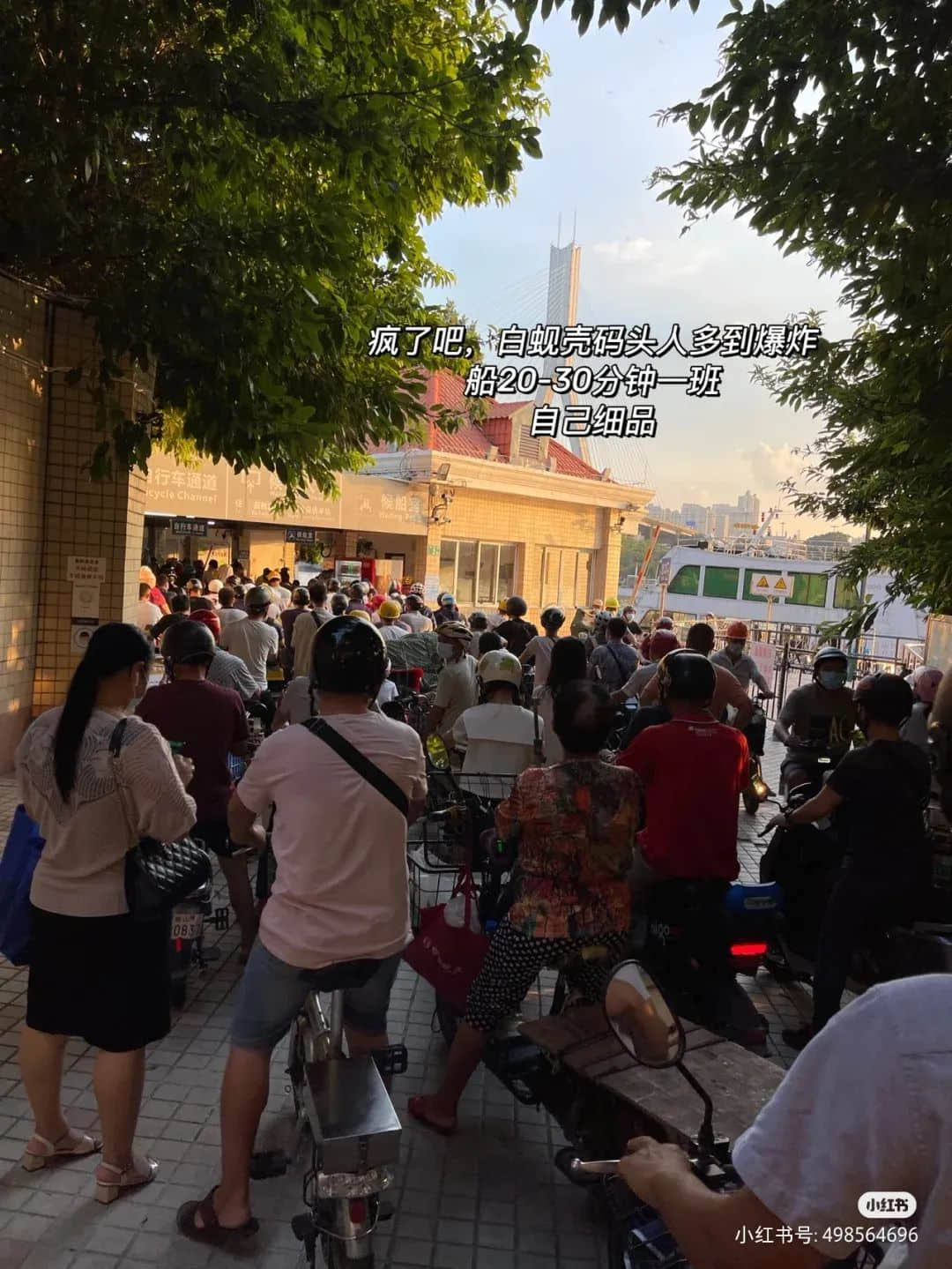 暫別鶴洞橋，你好白蜆殼！