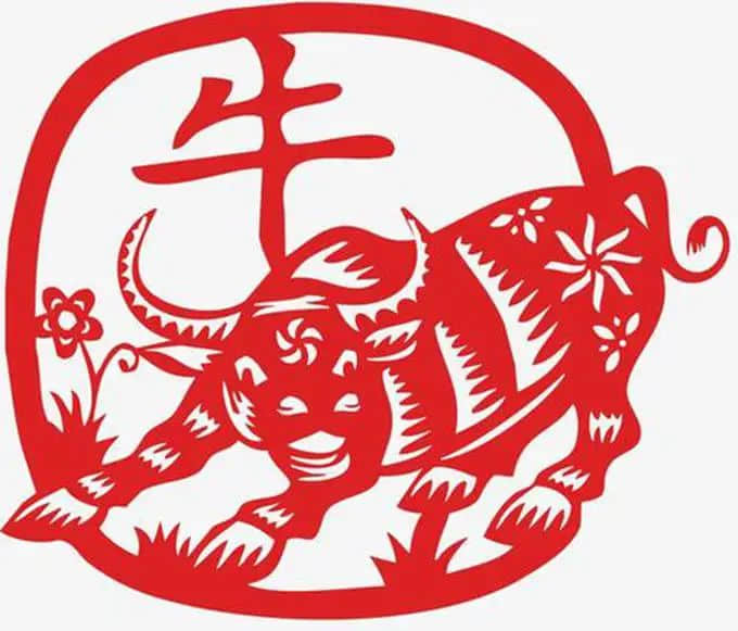 牛年講牛事，牛氣沖天 || 莫依慈