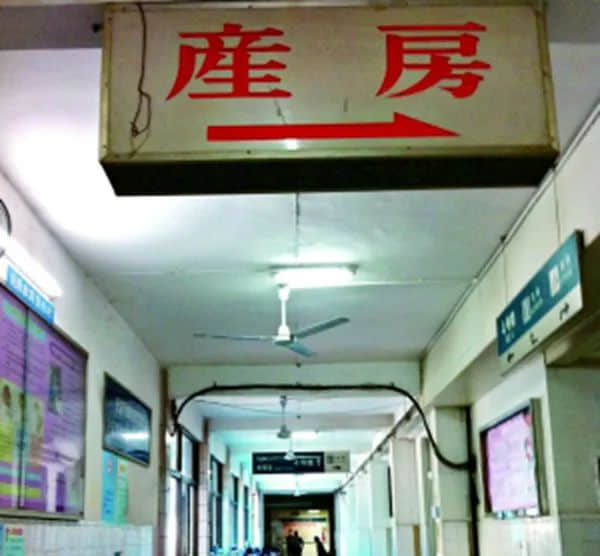 嫁女餅 生仔姜 風(fēng)俗十八變‖ 莫依慈 嫁女餅 生仔姜 風(fēng)俗十八變‖ 莫依慈