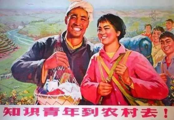 知青阿儀的一生 知青阿儀的一生