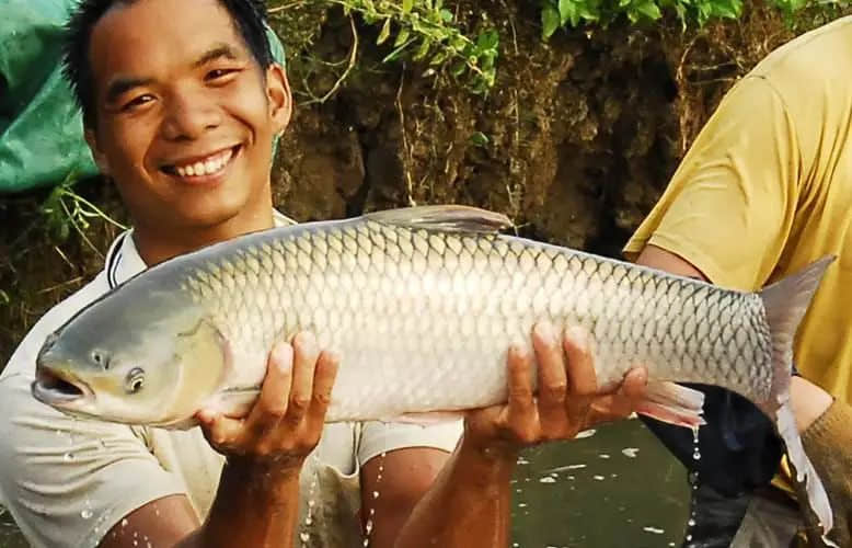 這些米其林看不上的地道廣東美食，你試過多少道？
